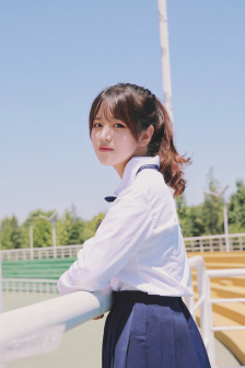 新仙踪林